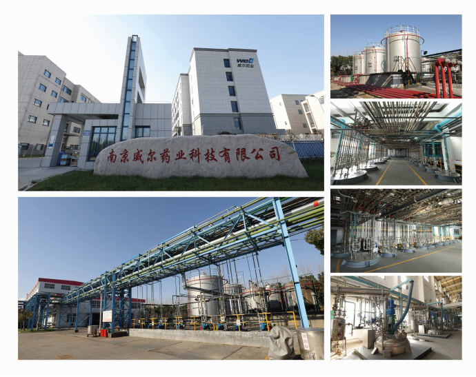 1664852061(1)_副本